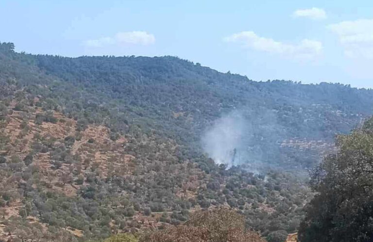 Λέσβος: Πυρκαγιά μεταξύ Νάπης και Μανταμάδου σε δύσβατο σημείο (video)
