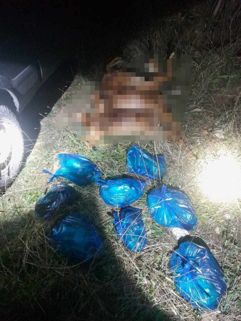 Δωρίδα: Επεισοδιακή σύλληψη λαθροθήρων