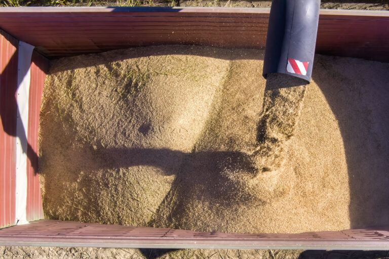 EU Rice Festival: Φεστιβάλ Βιώσιμης Καλλιέργειας του Ευρωπαϊκού Ρυζιού στο λιμάνι Θεσσαλονίκης