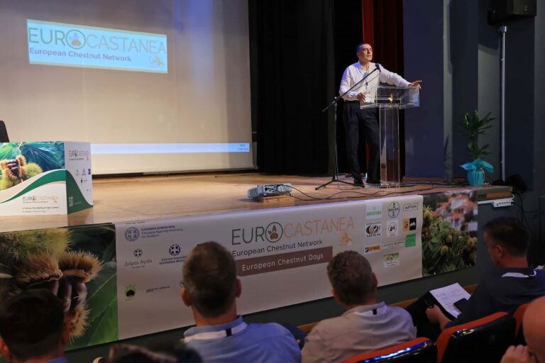 Δημ. Κουρέτας: Να επενδύσουμε στη μεταποίηση του καστάνου και στα υποπροϊόντα του