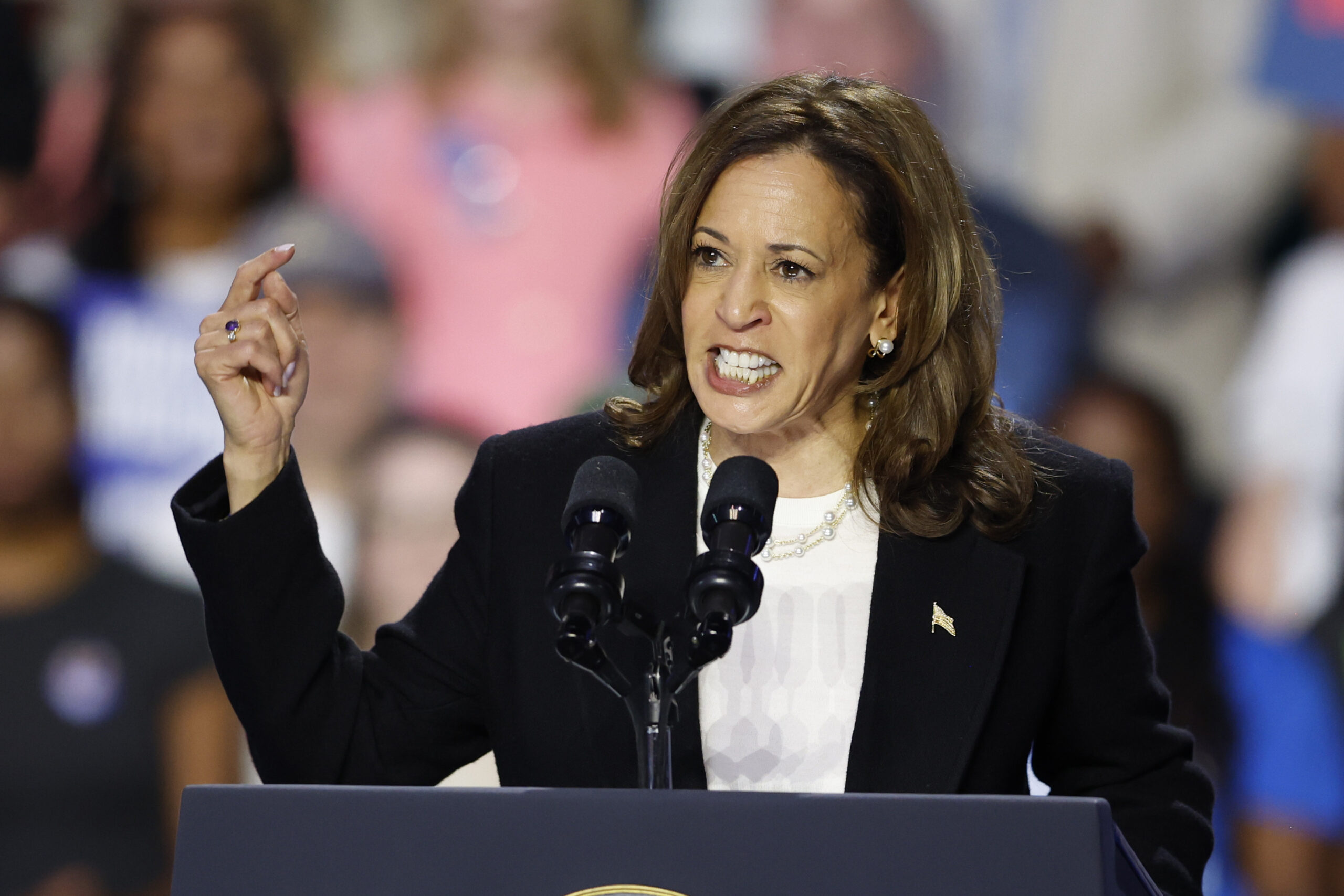 Election 2024 Harris