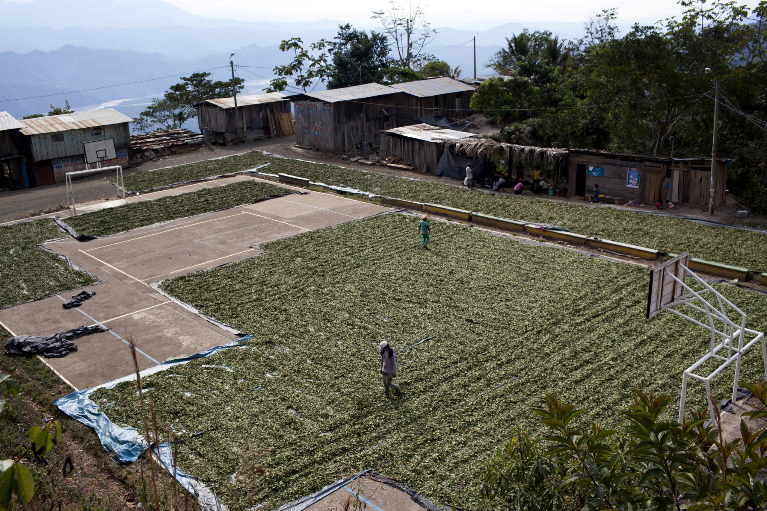 Peru Coca Growing Valley Photo Gallery