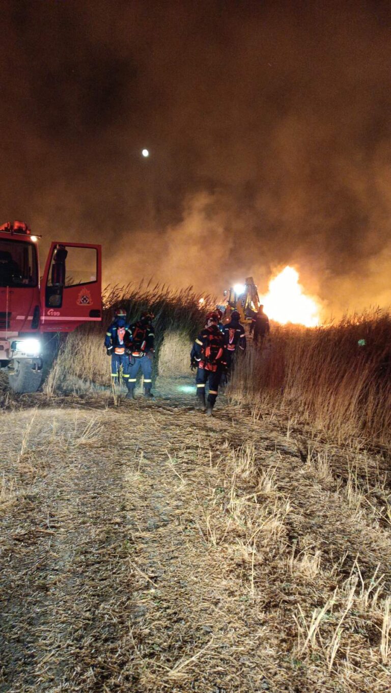 Σάμος: Προφυλακίστηκε ο 43χρονος που φέρεται ως ο υπαίτιος για την πρόκληση δύο πυρκαγιών