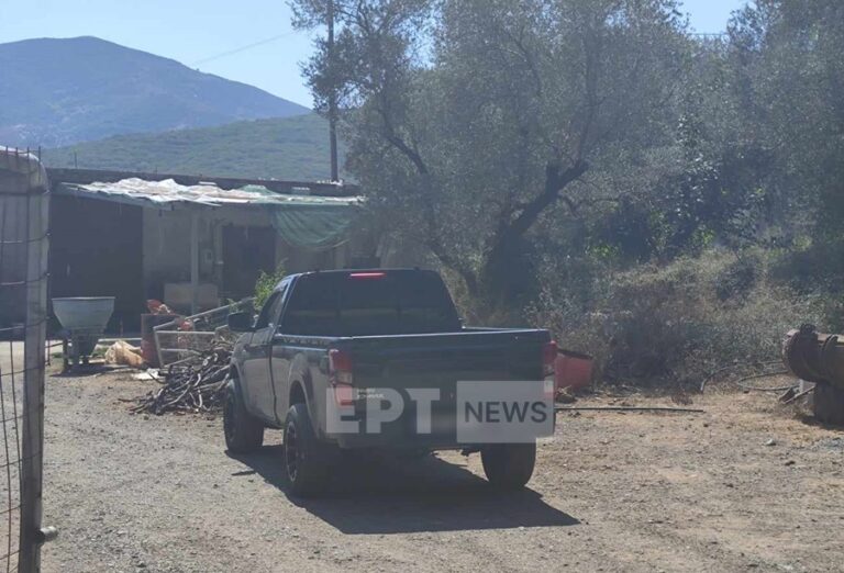 Ρέθυμνο: Εσπευσμένα στο ΠΑΓΝΗ ο 70χρονος κτηνοτρόφος θύμα της δολοφονικής επίθεσης στο Βιλανδρέδο
