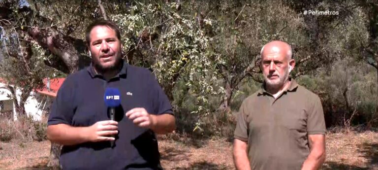 2ο Oliday: Διαδραστικό Συμπόσιο για το μέλλον της παραδοσιακής ελαιοκομίας στη Χώρα Μεσσηνίας