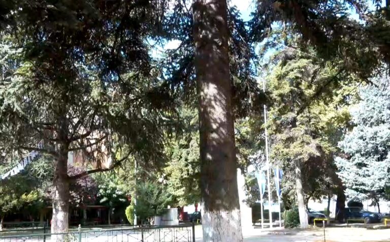 Αντιδράσεις για τις αναπλάσεις κεντρικών πλατειών στην Καστοριά- Στο επίκεντρο οι κοπές δέντρων