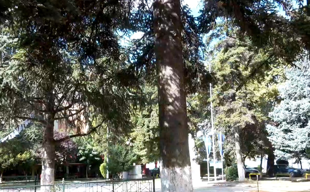 Screenshot_10