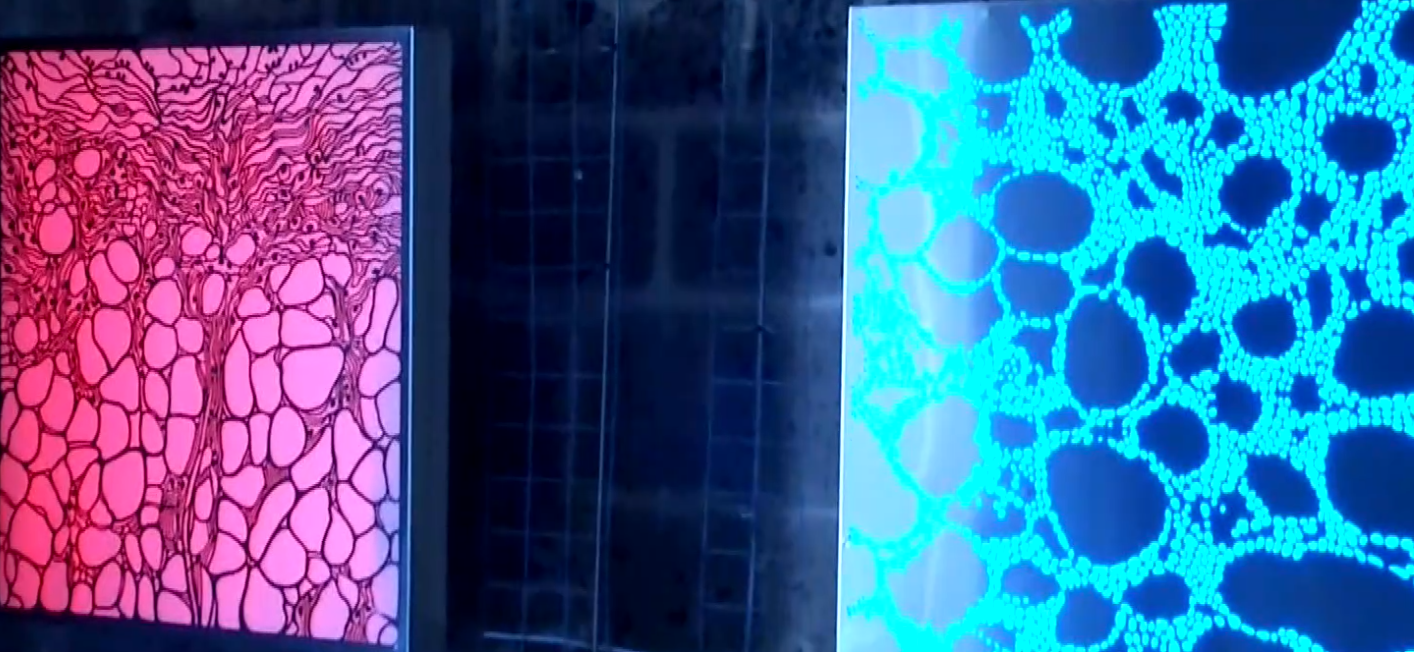 Screenshot_7