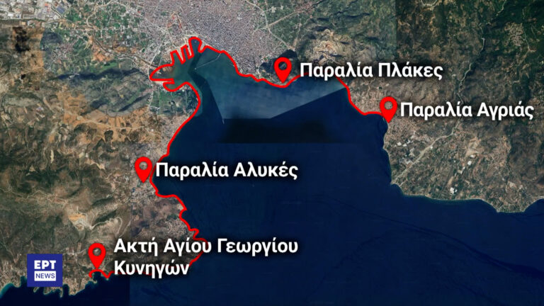 Βόλος: Απαγορεύεται το κολύμπι σε δεκάδες παραλίες λόγω των νεκρών ψαριών – Εργαστηριακοί έλεγχοι για το νερό της περιοχής