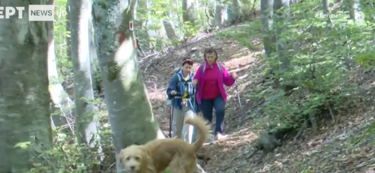 Ultra Pelion Trail στα  μαγευτικά μονοπάτια του Πηλίου