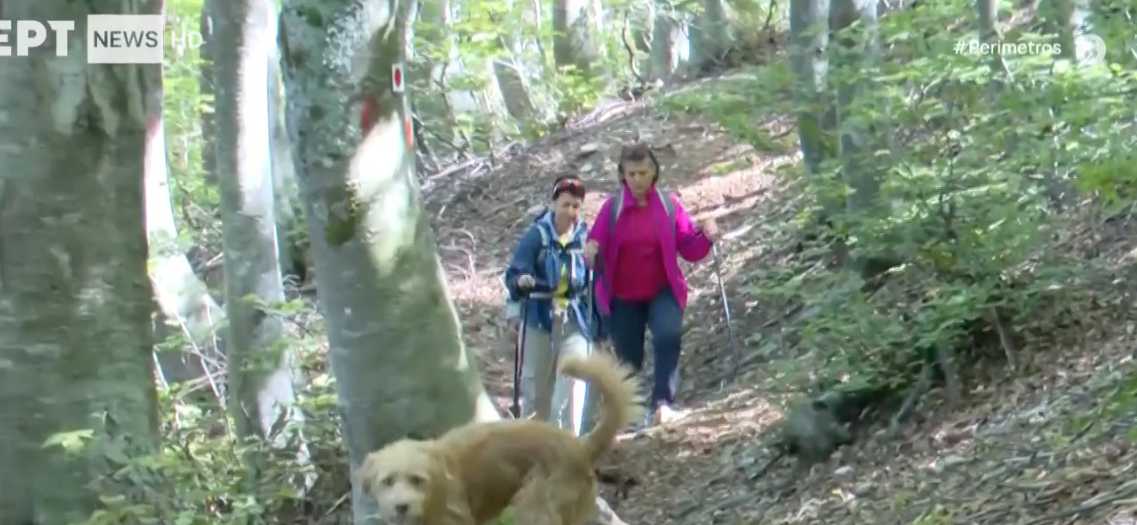 aa