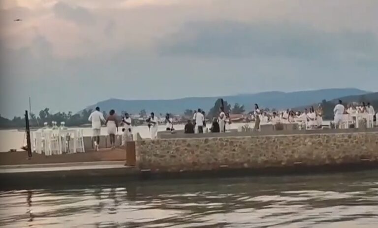 Γ. Αντετοκούνμπο: Τι αποκάλυψε πρόσωπο που βρέθηκε στον γάμο του Έλληνα σταρ του NBA – Νέες φωτογραφίες και στιγμιότυπα