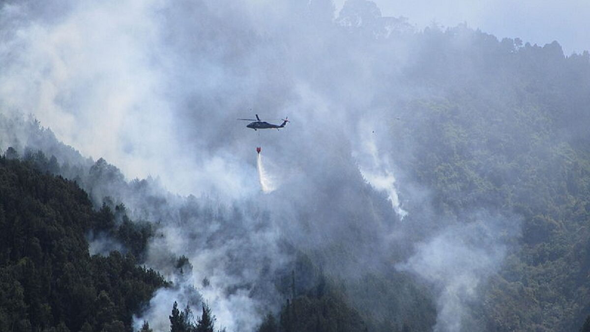 colombia fire
