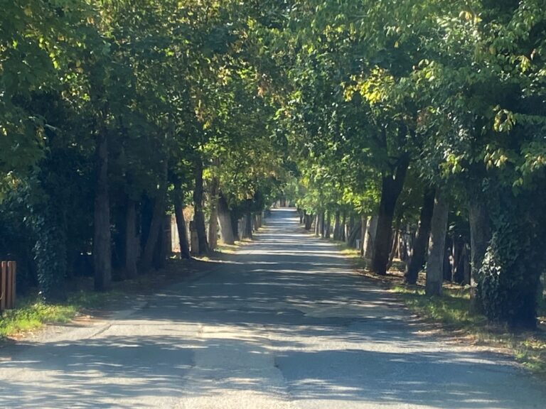 Σύλλογος Αρκάδων Ορειβατών και Οικολόγων: Να προσέξουμε για να διατηρηθεί η πιστοποίηση του Mainalon Trail