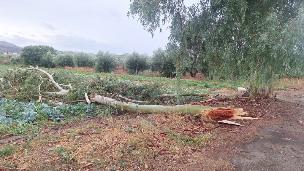 Ηράκλειο: Αλλαγή σκηνικού – Βροχές, χαλαζόπτωση και μικροπροβλήματα