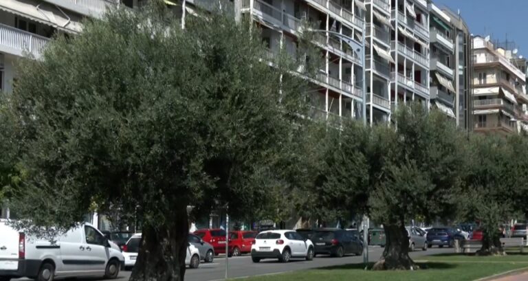 Ο Δήμος Θεσσαλονίκης είναι έτοιμος να βγάλει το δικό του βιολογικό λάδι