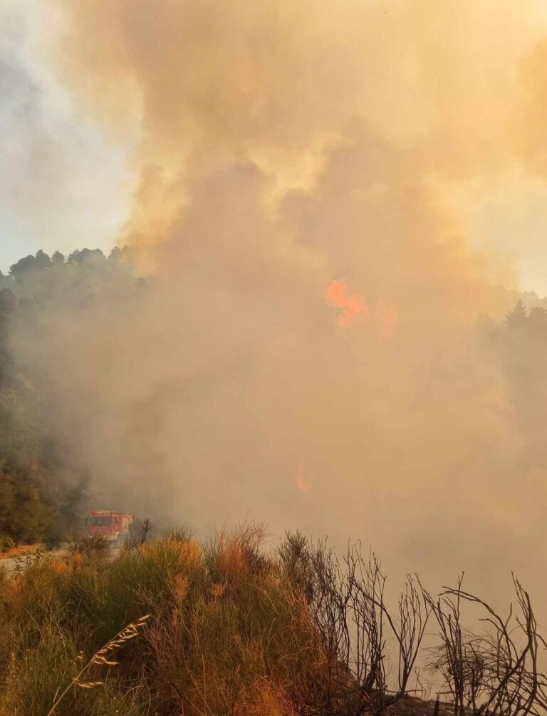 Σε εξέλιξη η πυρκαγιά στα Τρίκαλα Κορινθίας – Σε Νοσοκομείο της Αττικής δύο πυροσβέστες(βίντεο)