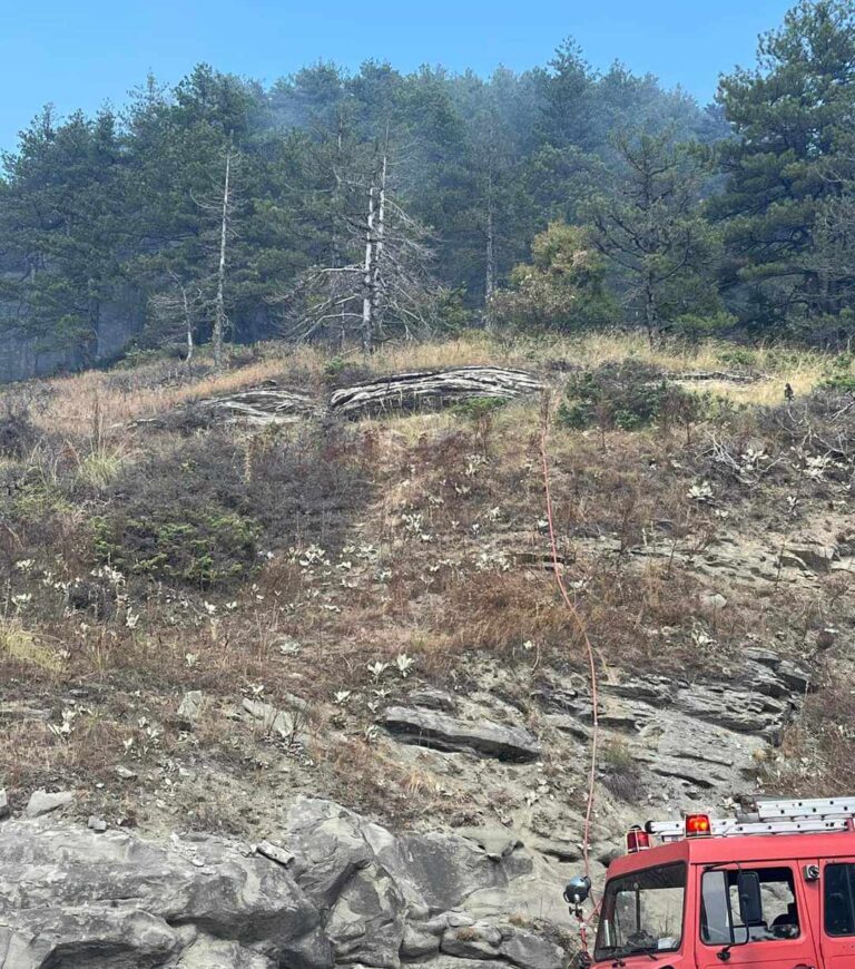 Κοζάνη: Υπό έλεγχο η φωτιά στον Πεντάλοφο (βίντεο)