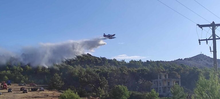 Αχαΐα: Πυρκαγιά σε δασική έκταση στο Κεφαλόβρυσο – Επίγειες δυνάμεις και αεροσκάφος στη μάχη με τις φλόγες
