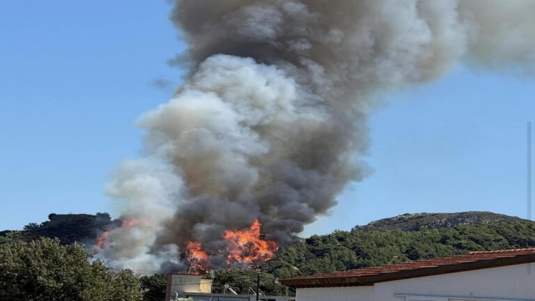 Φωτιά σε δασική περιοχή της Ρόδου: Στη μάχη 5 εναέρια μέσα