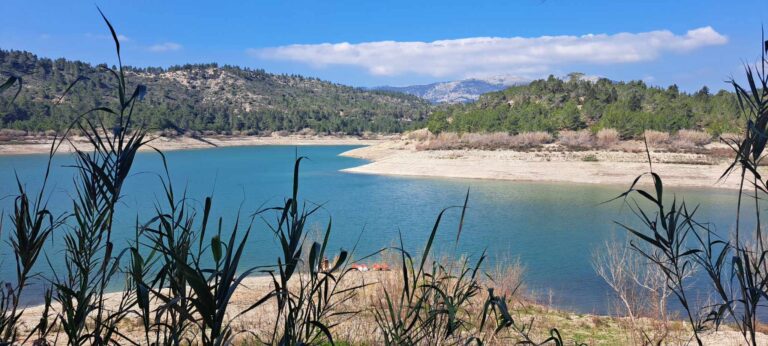 Ρόδος: Καλύτερη η φετινή ελαιοκομική περίοδος-Παραμένει μεγάλο πρόβλημα η ανομβρία