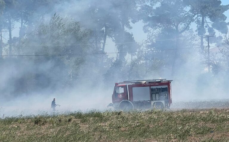 Υπό πλήρη έλεγχο οι φωτιές σε Χαλκιδική και Κιλκίς