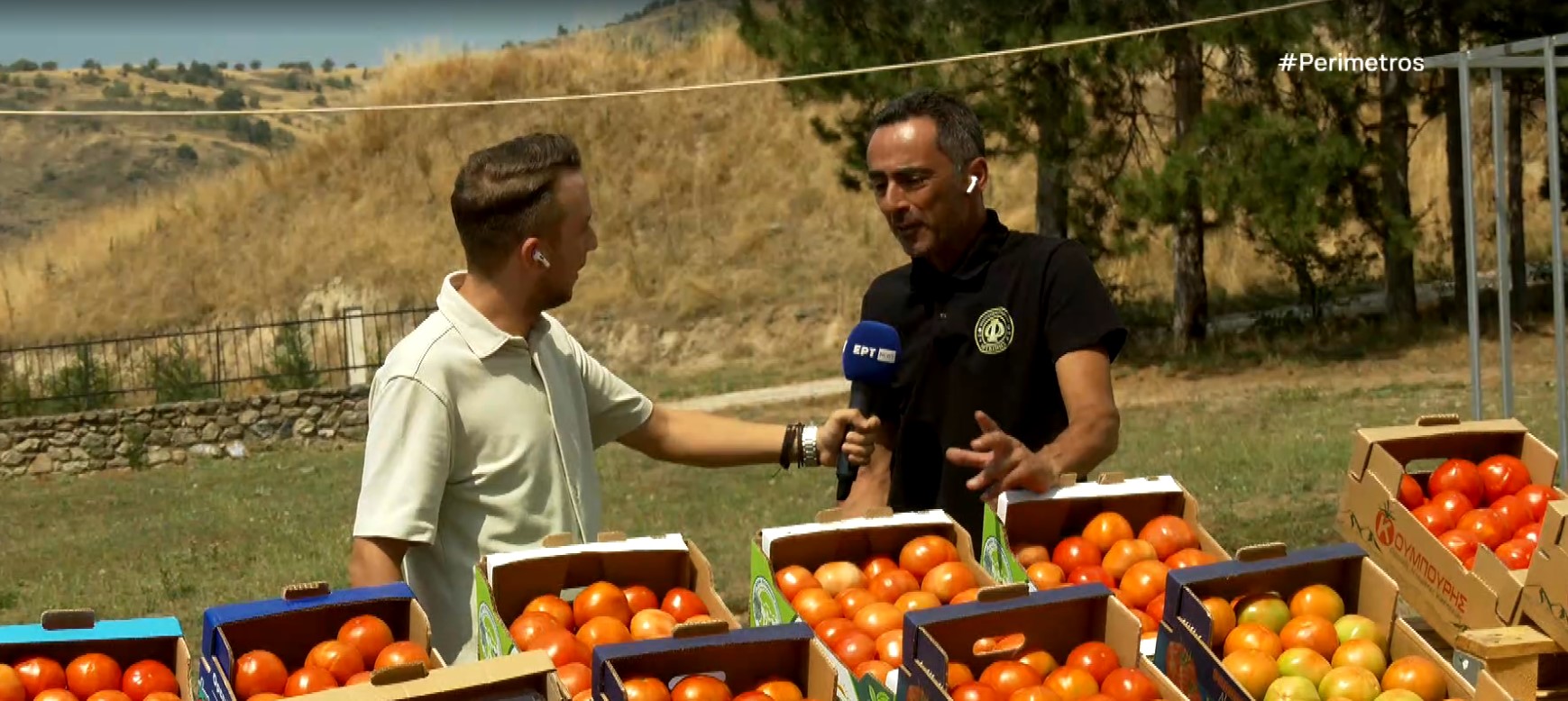giorti ntomatas kastoria
