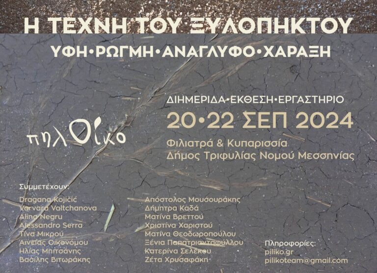 Μεσσηνία: Δράση “Η τέχνη του ξυλόπηκτου” στα Φιλιατρά και την Κυπαρισσία