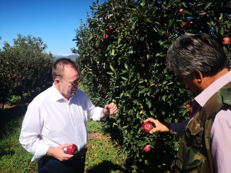Λάρισα: Στις χαλαζόπληκτες περιοχές της Ελασσόνας ο βουλευτής Β. Κόκκαλης