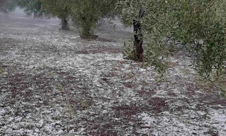 ΕΛΓΑ: Καταγραφές ζημιών στις περιοχές που επλήγησαν από χαλάζι
