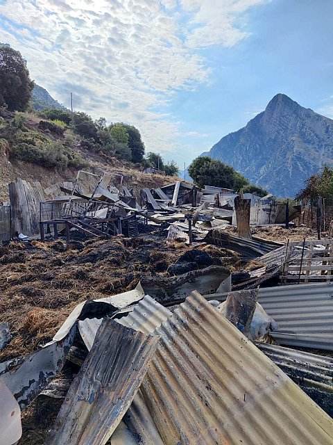 Κεραυνός σκότωσε 150 ζώα σε κτηνοτροφική μονάδα στην Αιτωλοακαρνανία