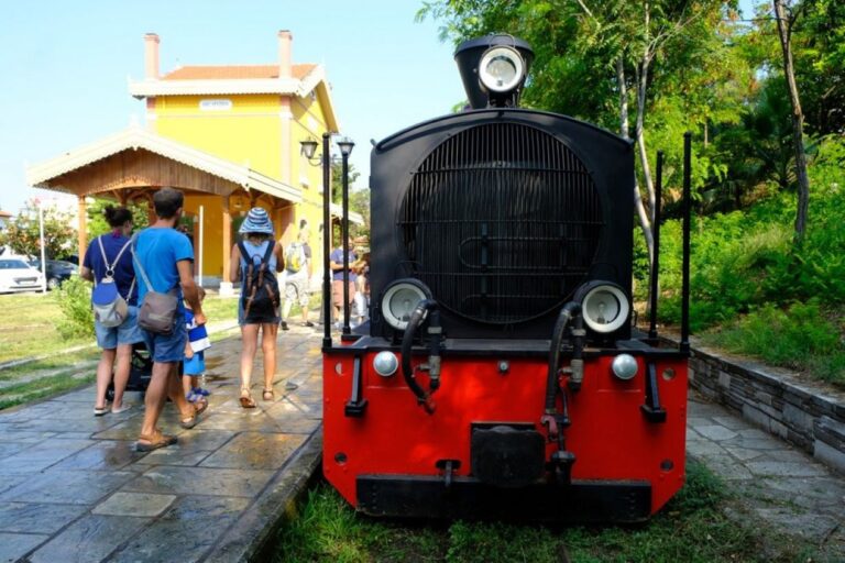 Στη βουλή το θέμα της ασφάλειας των διαδρομών του Τραίνου του Πηλίου