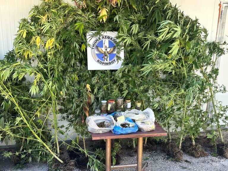 Έλεγχοι για την καταπολέμηση της διάδοσης των ναρκωτικών στην Ήπειρο