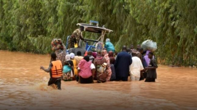 niger