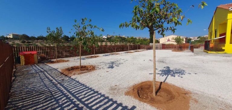 Αποκαταστάθηκε ο προαύλειος χώρος του παιδικού σταθμού Κρανιδίου