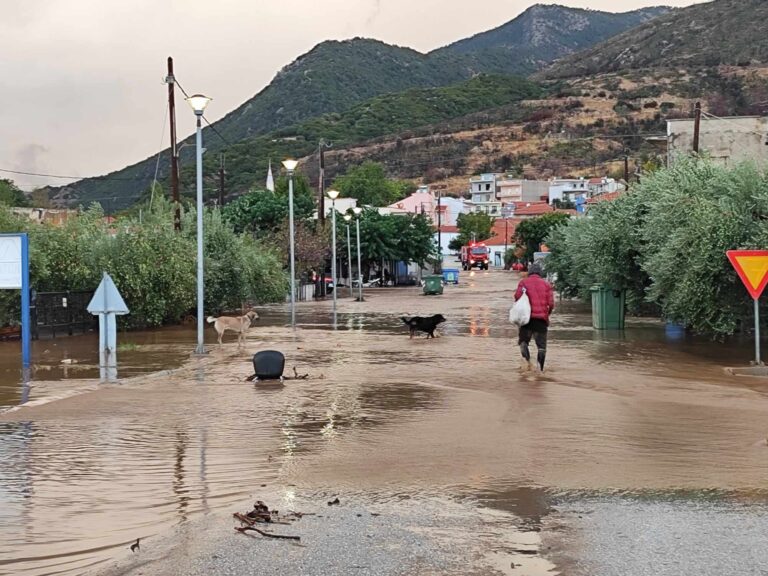 Ολοκληρώνεται την 27η Σεπτεμβρίου 2024 η β’ φάση για το ειδικό σχήμα ενίσχυσης για τις πληγείσες περιοχές της Θεσσαλίας