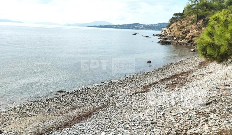 Βόλος: Στον 40χρονο δράστη της επίθεσης με ψαροντούφεκο ανήκει η σορός που βρέθηκε στα Πευκάκια