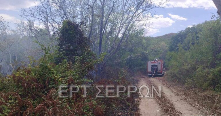 Σέρρες: Οριοθετήθηκε η πυρκαγιά που ξέσπασε στο Καστανοχώρι (βίντεο)