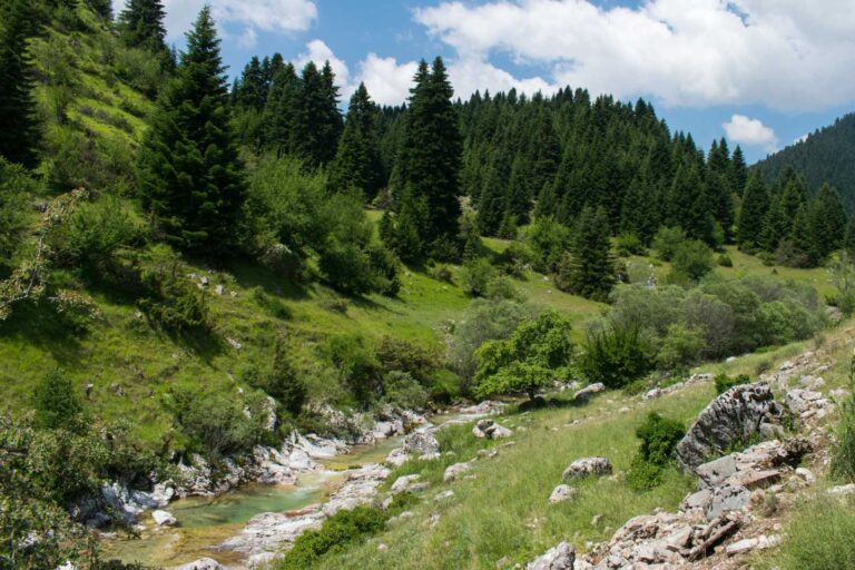 Τρίκαλα: Αντίθετη στην δημιουργία υδροηλεκτρικού σταθμού στο Χαλίκι Ασπροποτάμου η Λαϊκή Συσπείρωση