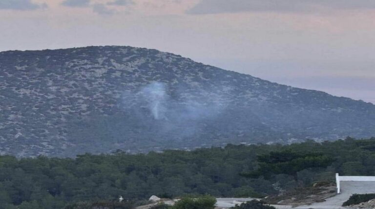 Υπό έλεγχο η φωτιά στο δάσος της Κυμισάλα στη Ρόδο