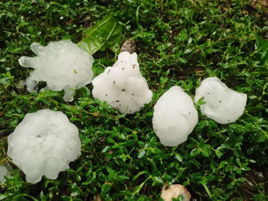 Ξεκινούν οι δηλώσεις ζημιάς στον ΕΛΓΑ για τη χαλαζόπτωση στην Ελασσόνα