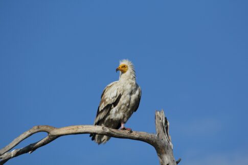 Play-offs Γ΄ εθνικής: Το πρόγραμμα των αναμετρήσεων του Πανθρακικού και του Α.Ο. Ξάνθης