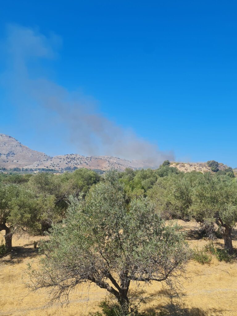 Ρόδος: Φωτιά σε καλαμιές στην περιοχή των Κολυμπίων