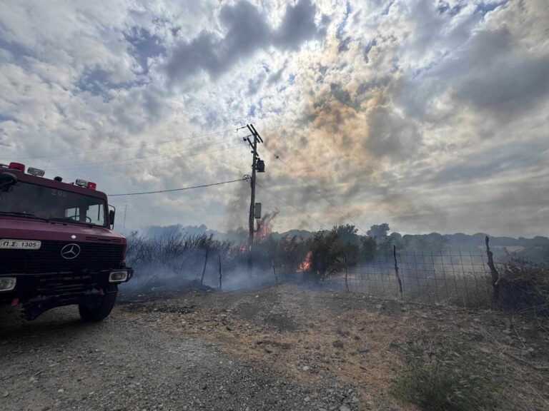 Σαμοθράκη: Άμεση επέμβαση της Πυροσβεστικής σε φωτιές μικρής έκτασης σε αγροτοδασική περιοχή
