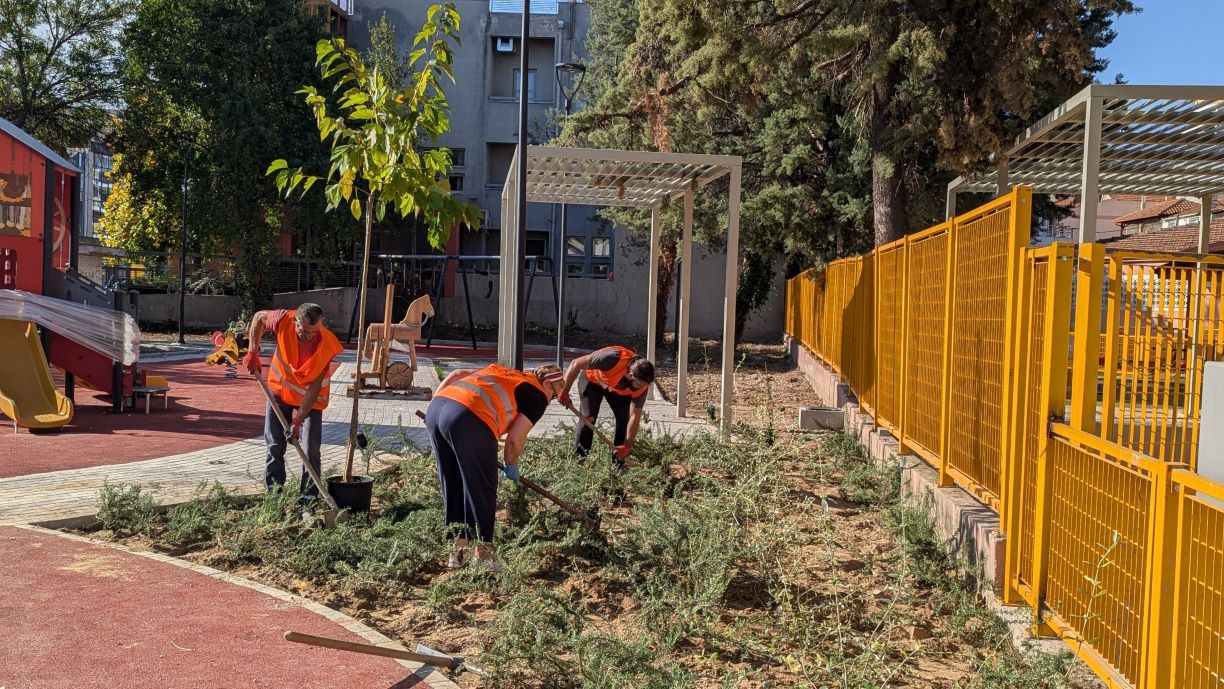 ΑΙΟΛΟΥ ΠΡΑΣΙΝΟ ΦΥΤΕΥΕΙ