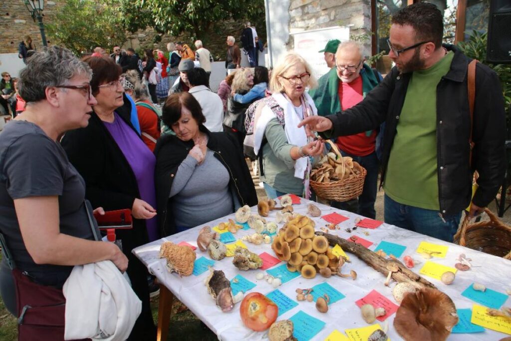 Λάρισα: Πλήθος κόσμου στην 9η Γιορτή Μανιταριού στο Σκλήθρο Αγιάς