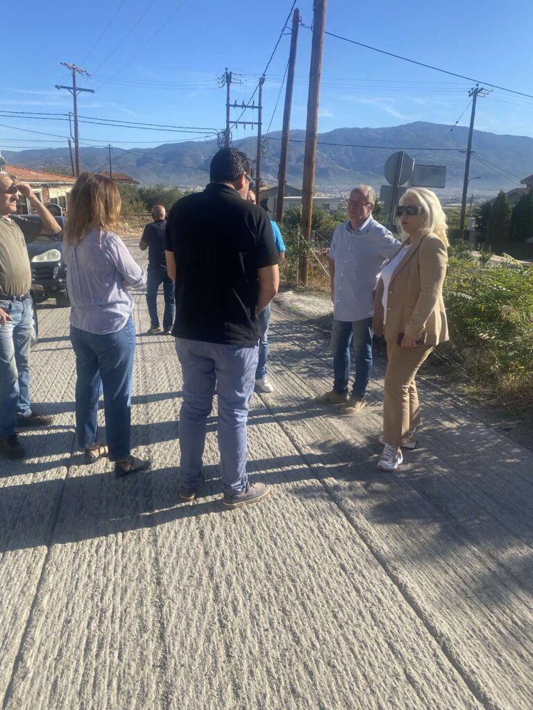 Ασφαλτρόστρωση της οδού Βόλου-Διμηνίου