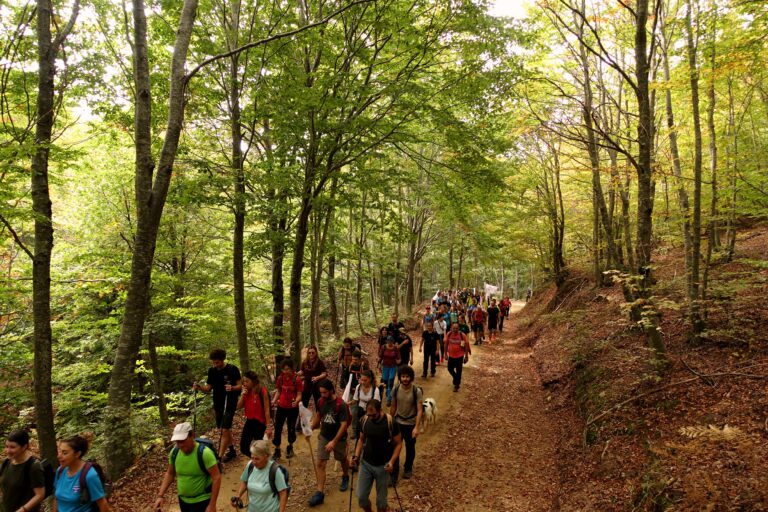 Εκδηλώσεις για ένα Πήλιο καθαρό από αιολικά πάρκα
