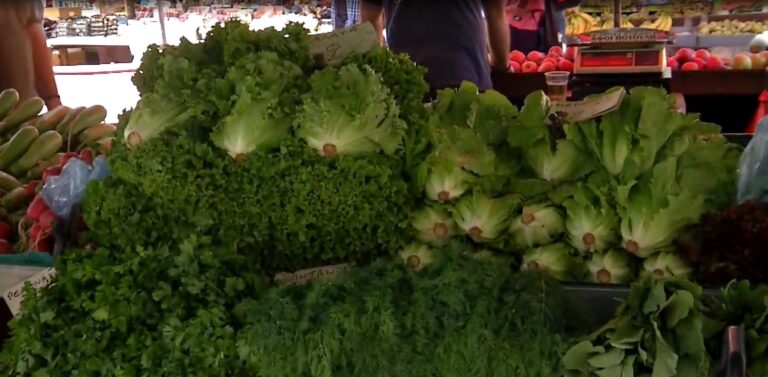 Εκκωφαντικά στοιχεία για τα τρόφιμα που καταλήγουν στις χωματερές