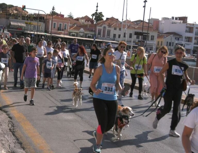 Μυτιλήνη: Αγώνας δρόμου για τα αδέσποτα ζώα (βίντεο)